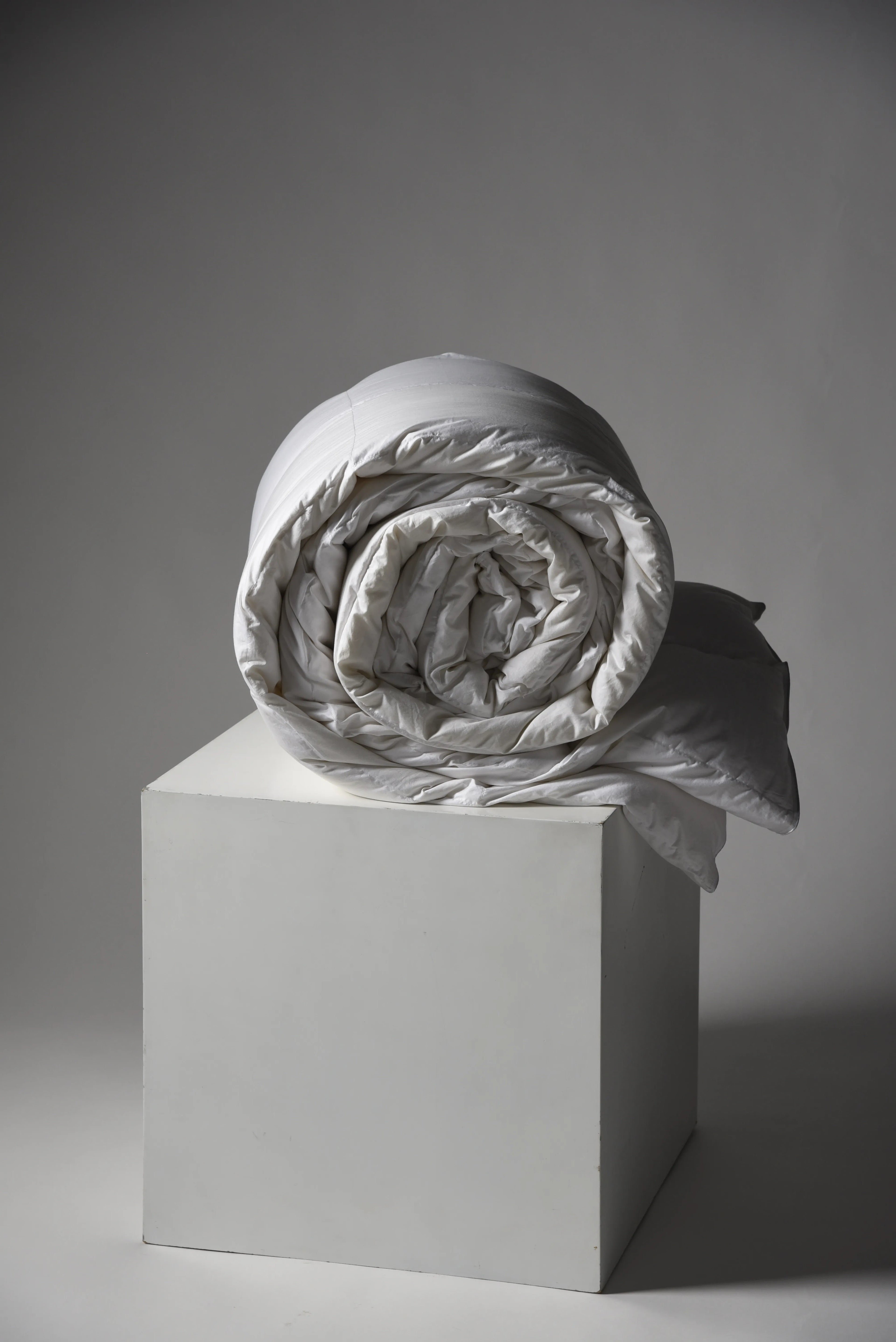 Plumón Duvet Classic 750FP