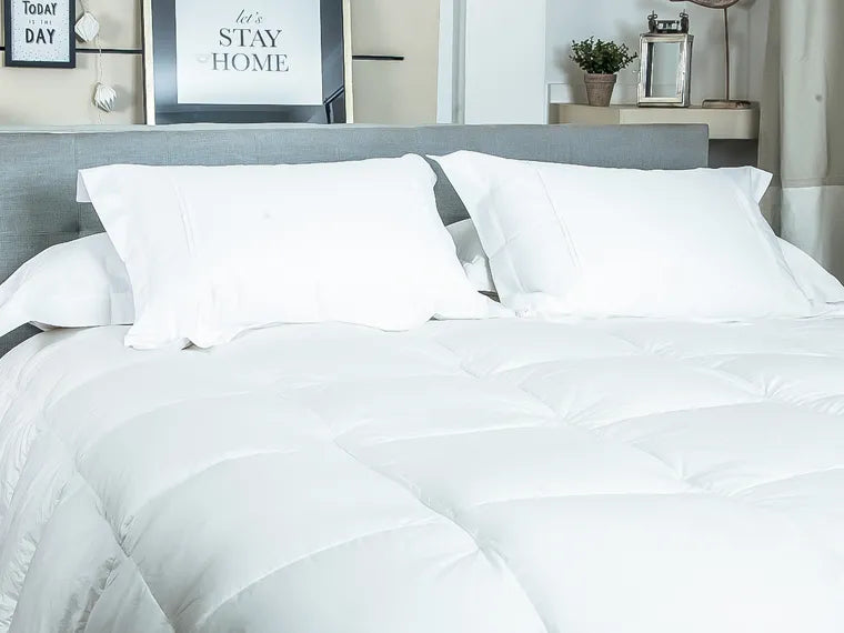 Plumón Duvet Classic 750FP