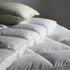 Featherbed Esencial (15% Duvet)