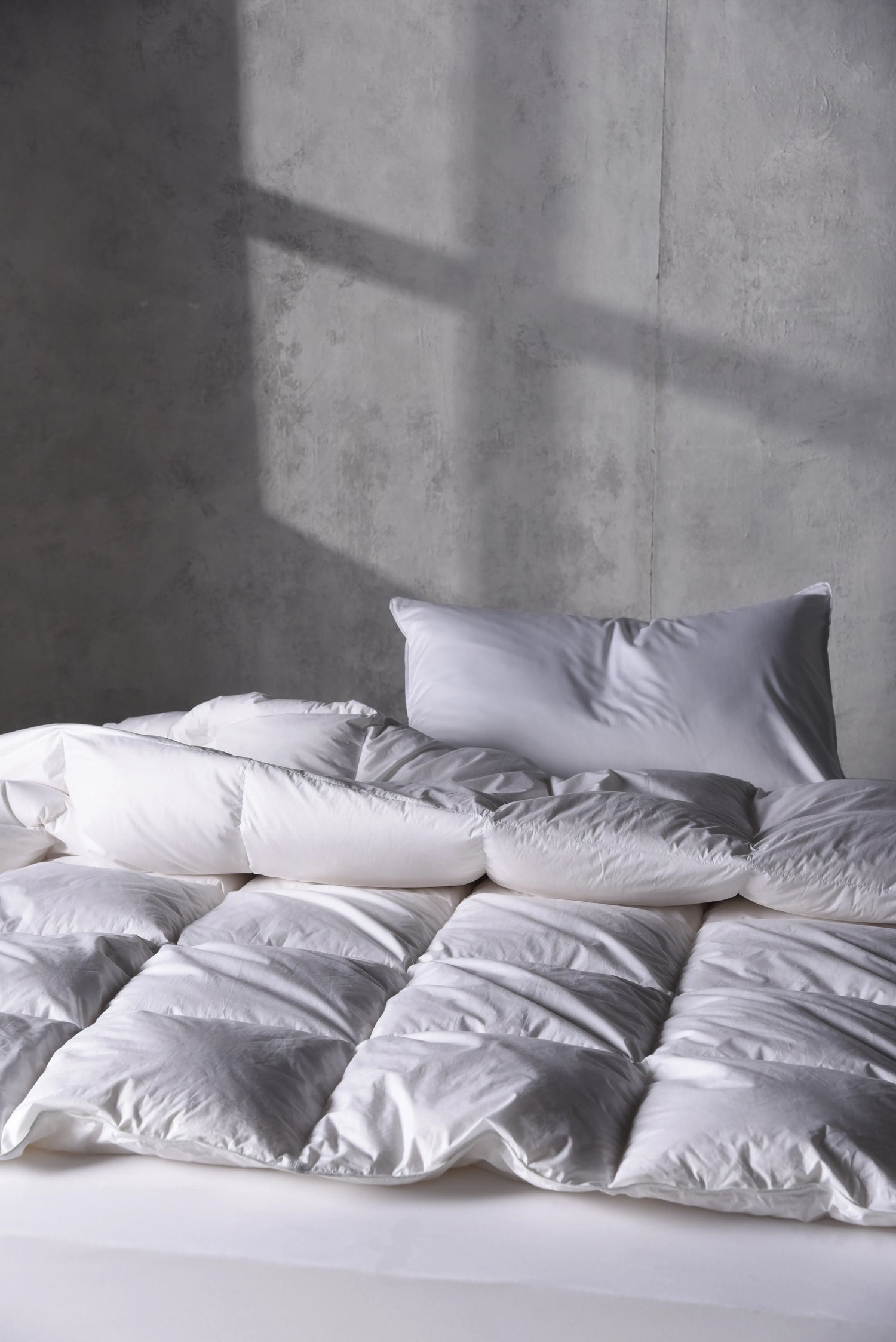 Plumón Duvet Premium 850FP