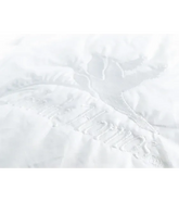 Plumón Duvet Premium 850FP