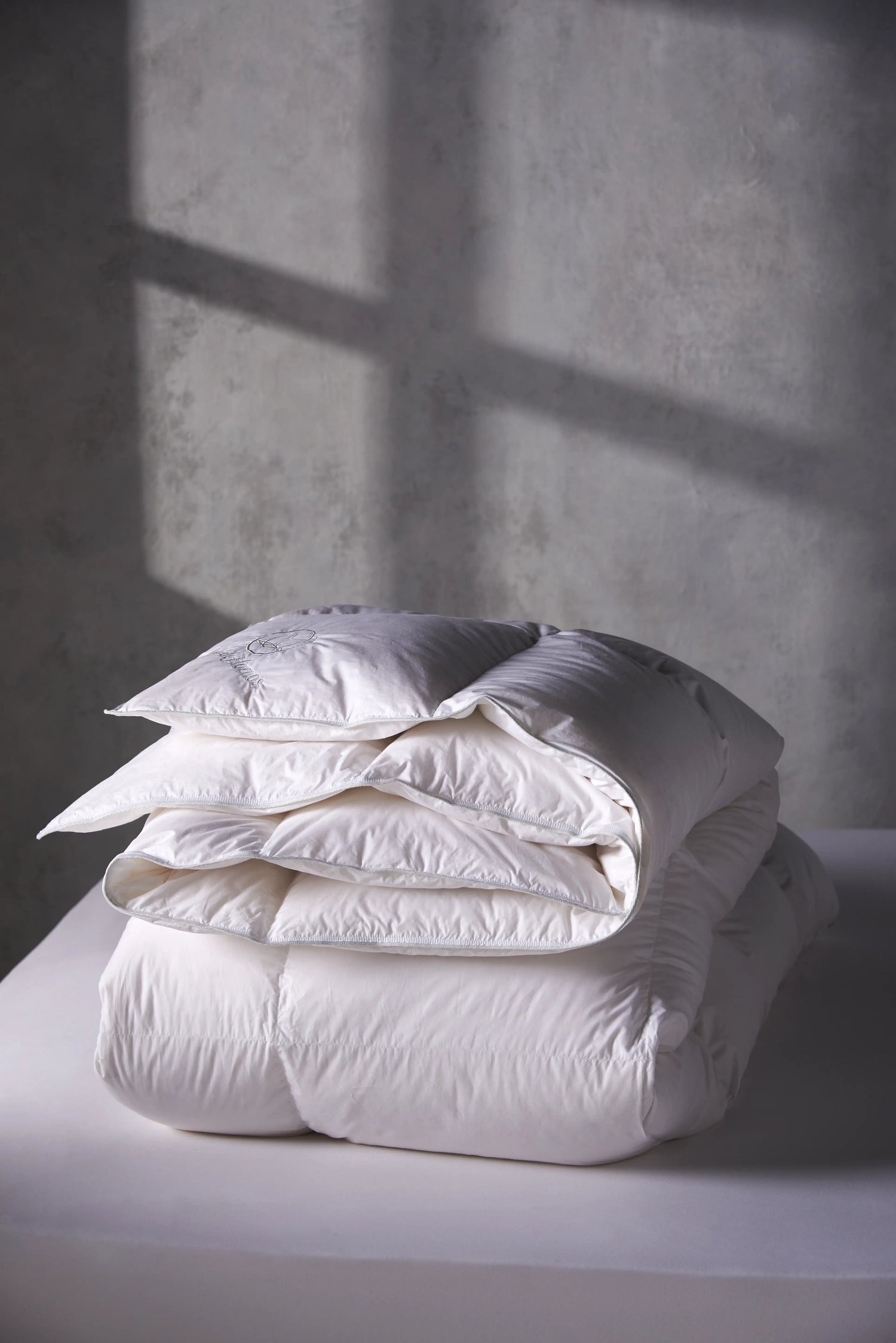 Plumón Duvet Premium 850FP